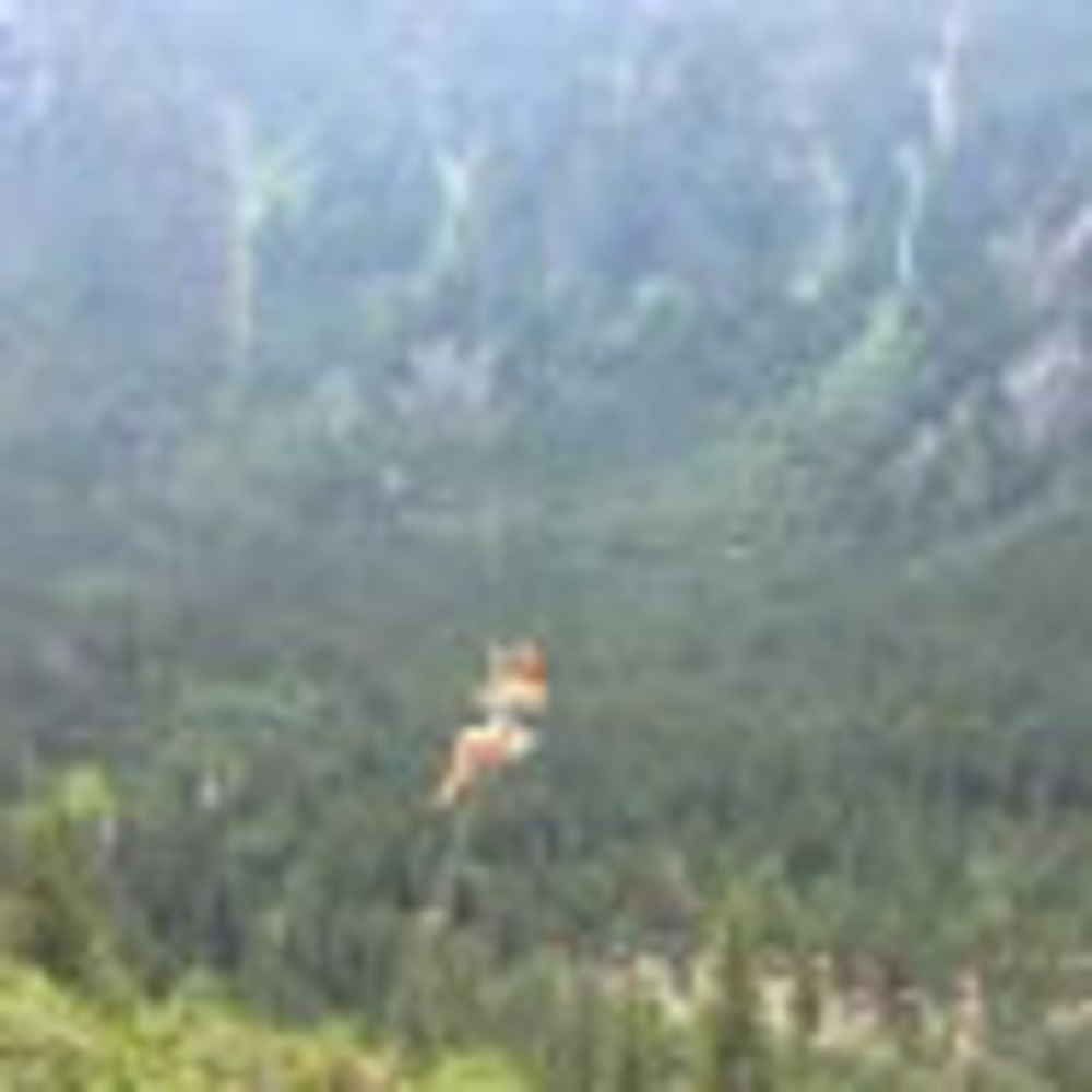 Meet your Posher, Cathy